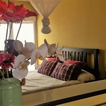 Lejlighed Wake Up With The Sea! Enjoy Private Pool!